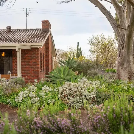 Linger Longer Vineyard Apartment Willunga Exterior photo