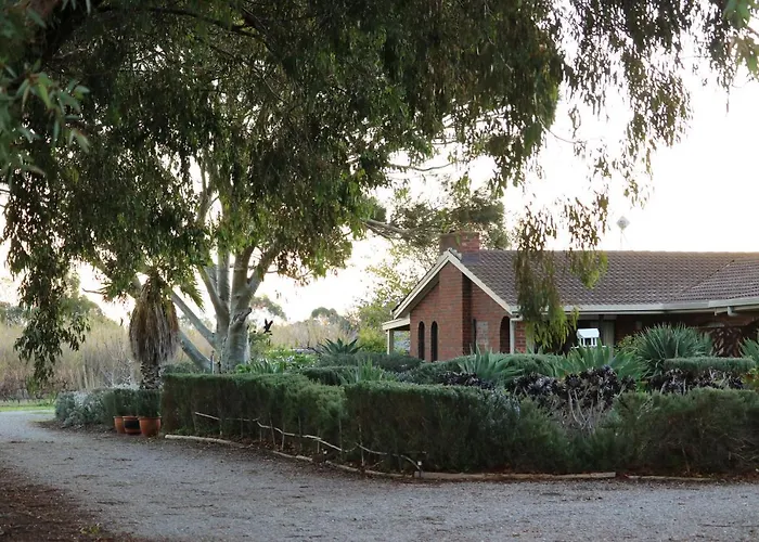 Linger Longer Vineyard