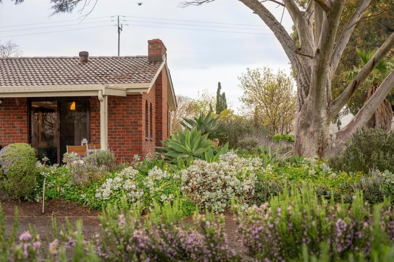 Linger Longer Vineyard Apartment