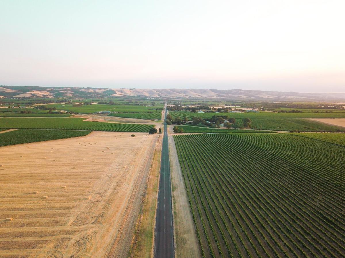 Linger Longer Vineyard Willunga