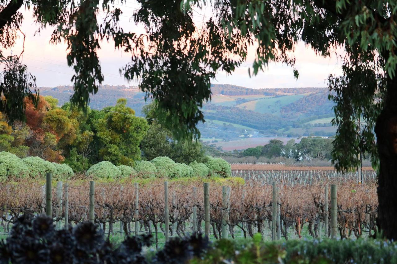Apartment Linger Longer Vineyard
